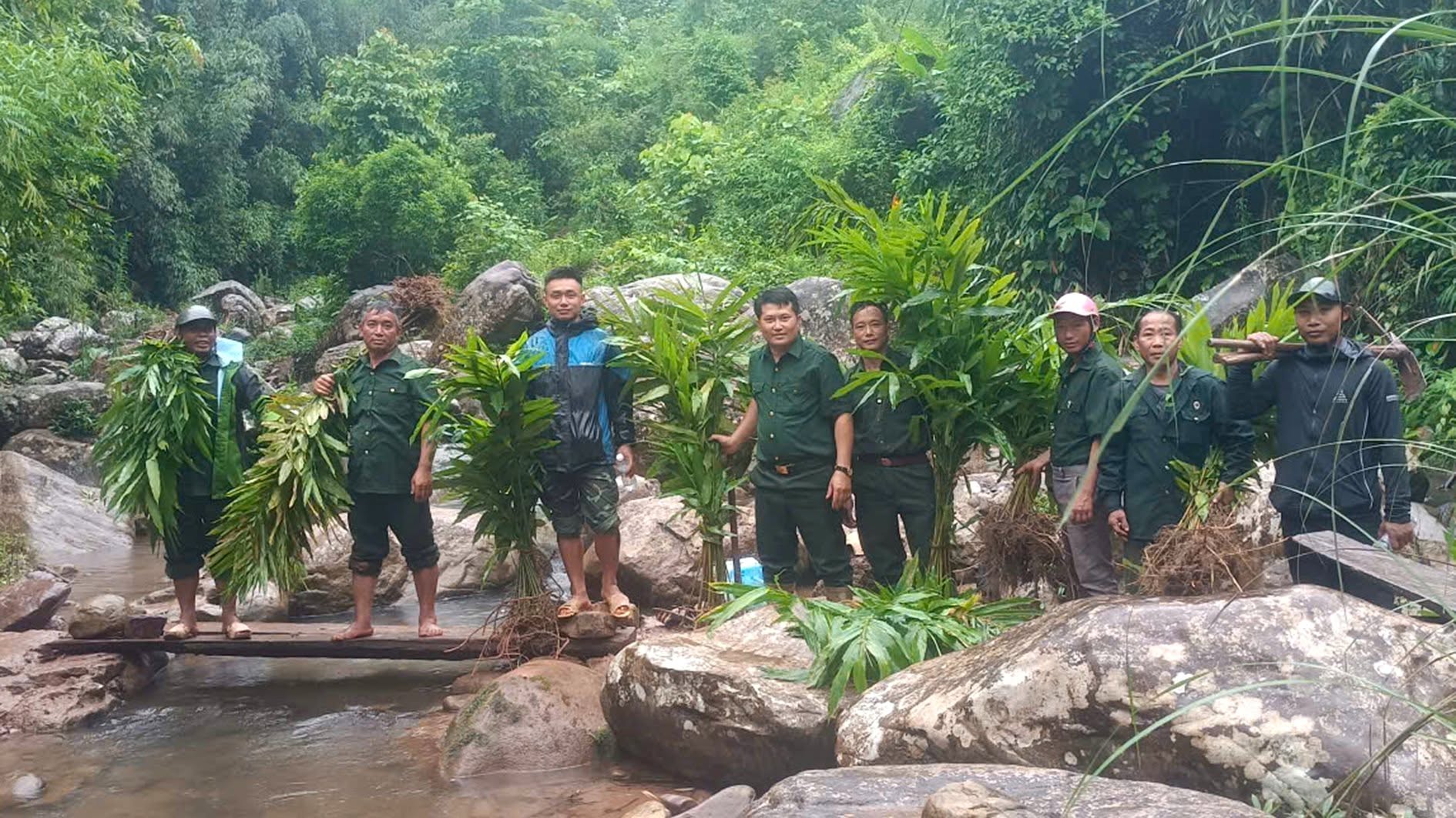 HỘI VIÊN CỰU CHIẾN BINH PHÁT HUY HIỆU QUẢ NGUẦN VỐN NHCS PHÁT TRIỂN KINH TẾ, VƯƠN LÊN THOÁT NGHÈO