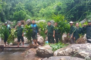 HỘI VIÊN CỰU CHIẾN BINH PHÁT HUY HIỆU QUẢ NGUẦN VỐN NHCS PHÁT TRIỂN KINH TẾ, VƯƠN LÊN THOÁT NGHÈO
